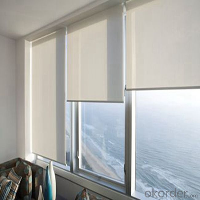 Outdoor Clear Plastic Valance  Roller Blinds