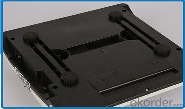 Most popular model Price computing scale electronic weighing scale from chinese factory