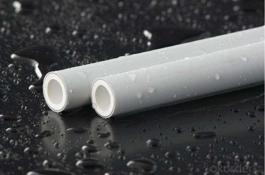 2018 New White PPR Pipe Used in Industrial Field form China