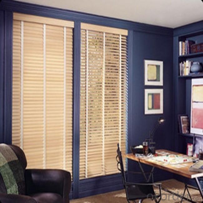 Outdoor Double Sided Bamboo Motor Blinds