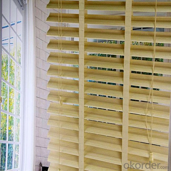 Zebra Spring Roller Window Blinds Curtains