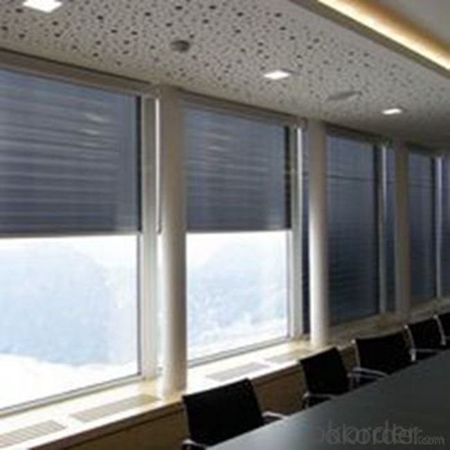 PVC Outdoor Somfy Electric Roller Shades Blinds