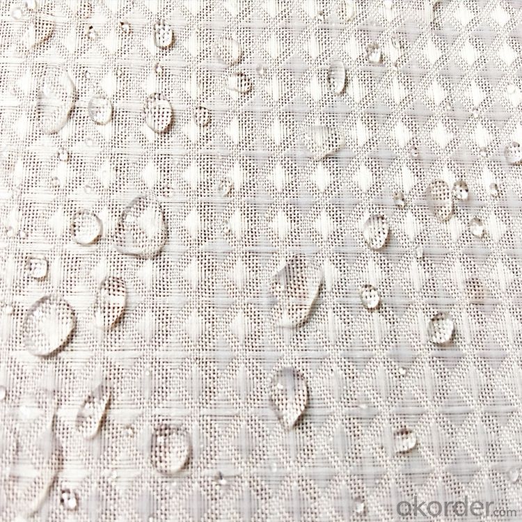 Print Double Plastic Shower Curtains Valance