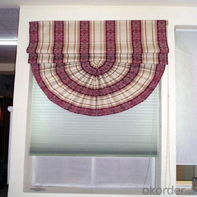 China Blackout and Transparent Roller Blinds