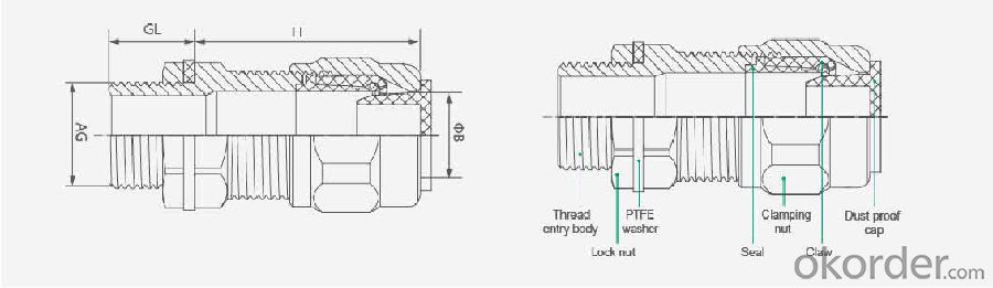 Brass Industrial cable gland for unarmored cable IP68