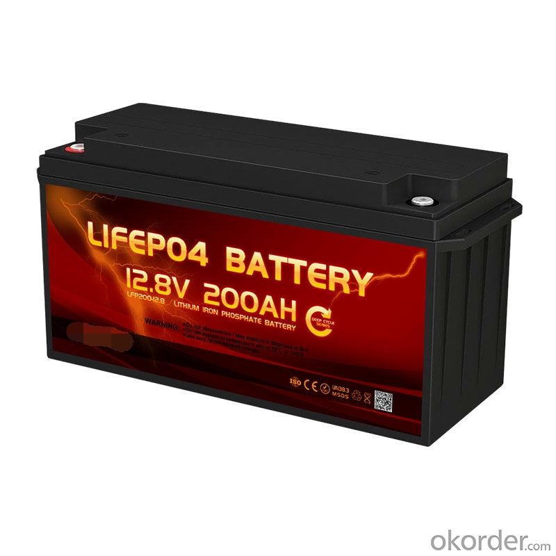 Source Factory Deep Cycle LiFePO4 Lithium ion Battery 12V 100Ah for Solar system/RV/Motorhome/Boat