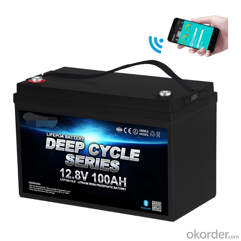 Source Factory Deep Cycle LiFePO4 Lithium ion Battery 12V 100Ah for Solar system/RV/Motorhome/Boat