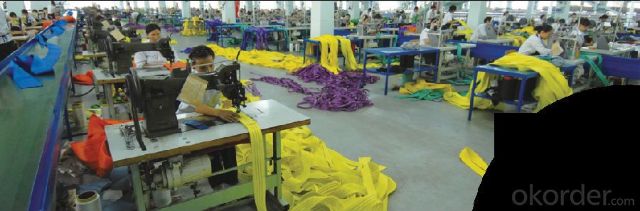 PES Adhension Type Textile Sling Webbing Sling Yarn Straps Carrying Round Sling