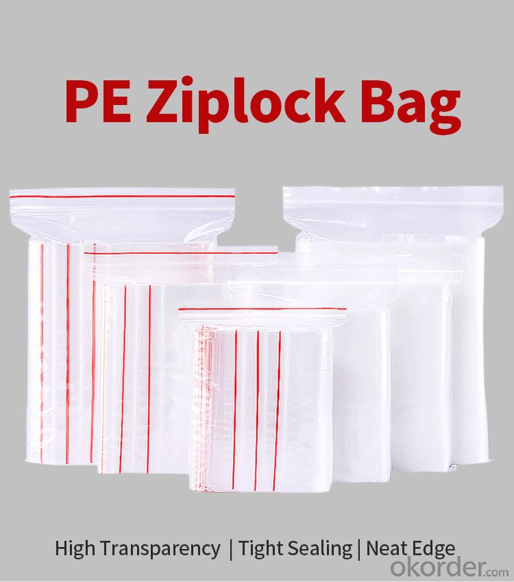 Ziplock Bag No. 12 X100