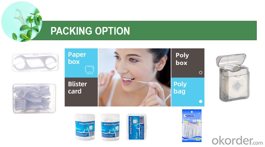 Dental Floss Hot  Sales Factor Price Wholesale Price High Quality ISO CE FDA Dental Floss Pick