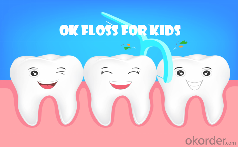Children's Safe Flavoring Dental Floss Pick