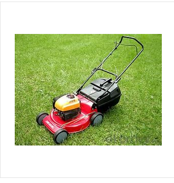 where to buy a lawn mower