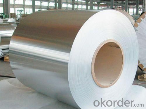 Stainless Steel Coil Wire System 1