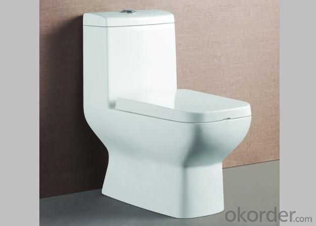 Model 825 Wahsdown One piece Toilet WC High Quality Best selling System 1