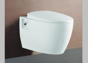 715 Wall-hung Toilet System 1