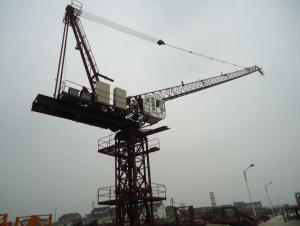 Luffing Crane TCD6029