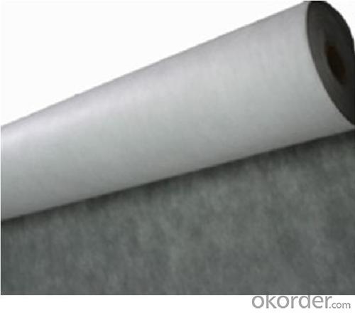 Water and Vapor Insulation Membrane System 1