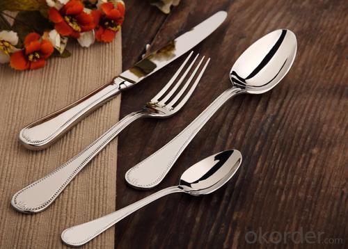 Stainless Steel Cutlery Sets System 1