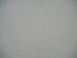 Mineral Fiber Ceiling - Perlite Sand