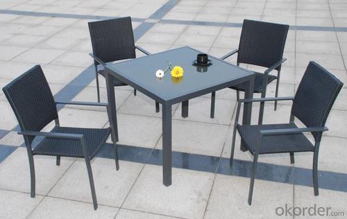 Garden Dining Set (DT037) System 1