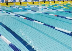 Swimming Pool Tile CMAX-RQ136