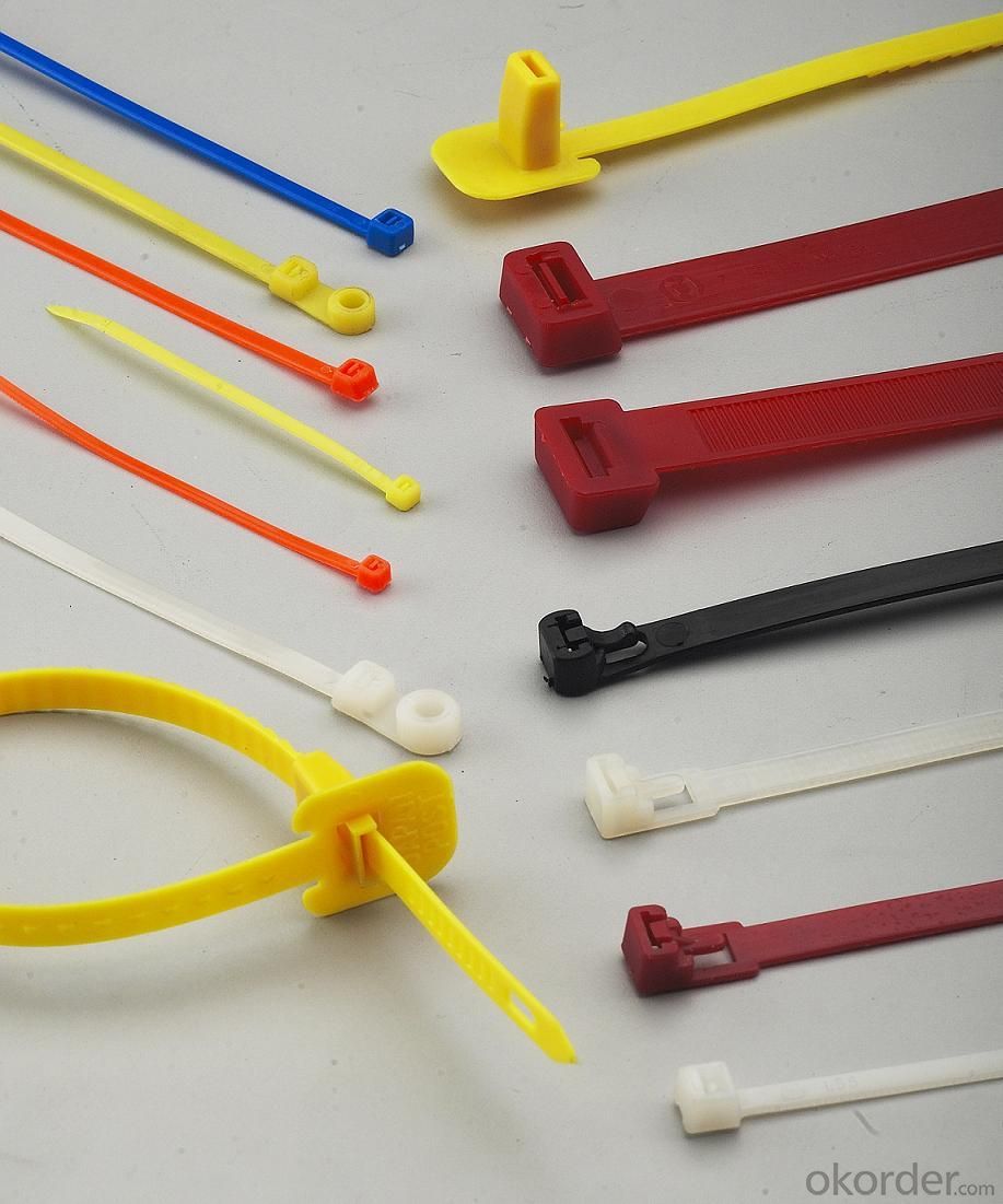 Nylon cable Tie HS-350