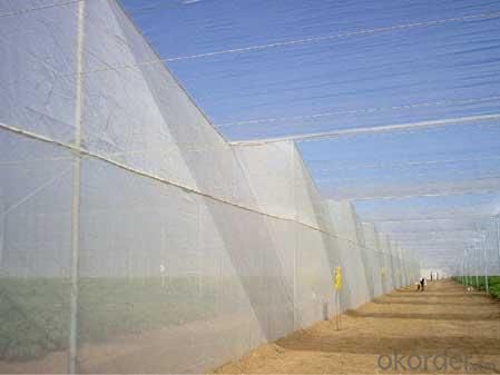 Anti-insect Net for Plant /Green House /Shade Cover