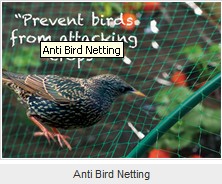 Extruded Anti-bird Net