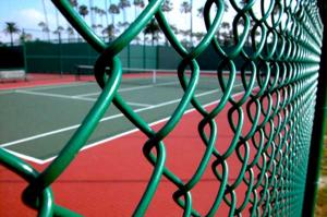 PVC Coated Chain Link Fence For Garden