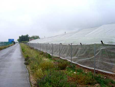 Anti-insect Net--95g