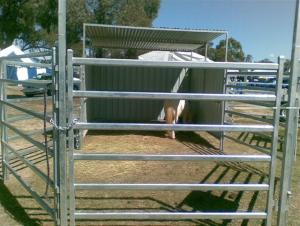 Livestock Fence with Steel Pipe
