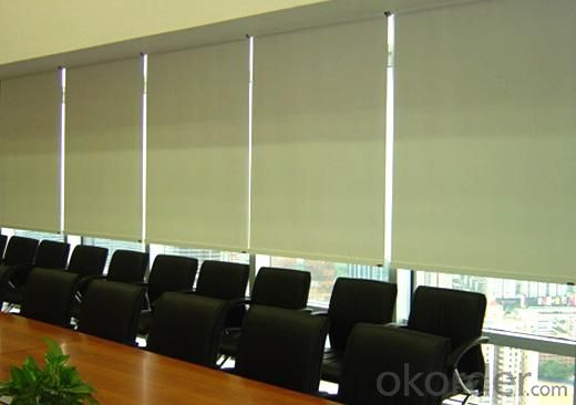 Motorized Roller Blinds For Building System 1