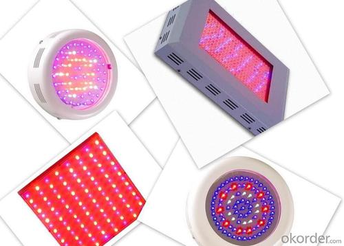 LED Grow Light-1 System 1