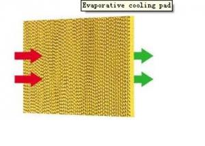 High Quality Evaporative Cooling Pad