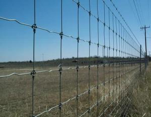 Galvanized Field fence And Farm Fence