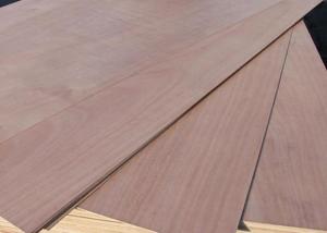Eucalyptus Core Plywood