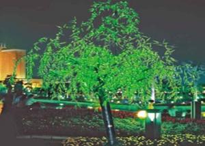 Outdoor LED Tree Light System 1