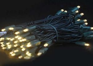 Approval 70 Count LED 5MM Light Chain