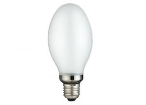 Ballast Bulbs 250 Watt