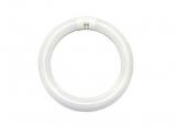 Fluorescent Tube Fixture
