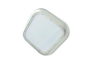 Canopy Explosion-proof Light 165LM/W 60W