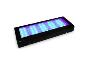 Dimmable 300w Aquarium Led Lighting For Coral Reef