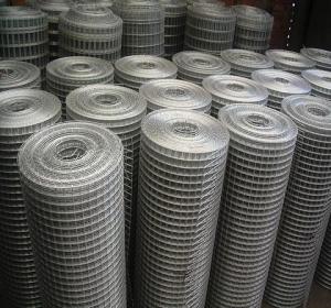 Welded Wire Mesh with Hot Dipped Galvanized Finish System 1