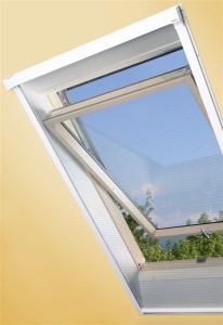 Manufacturer of Dual Action Roof Window