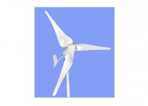 Wind Turbine 300W for Home Use System 1
