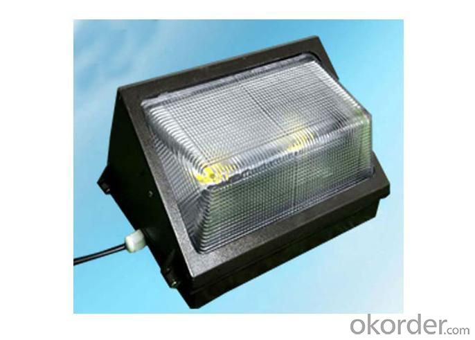 LED Outdoor Wall Light with Stainless Steel/LED Wall Pack Manufacturer
