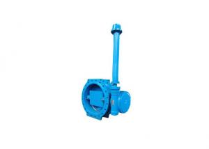 Flange Type Butterfly Valve with Extended Spindle System 1