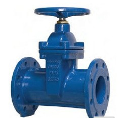 Thread Gate Valve System 1