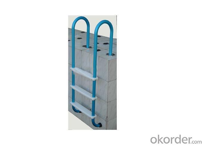 Blue Aluminum Ladder System 1