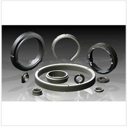 Carbon Graphite Mechanical Seal System 1